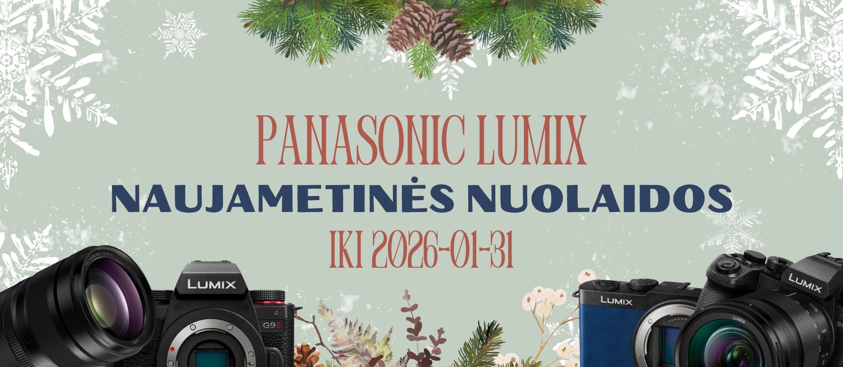 ✨ Panasonic Lumix NAUJAMETINĖS NUOLAIDOS ✨
