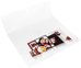1x250 Kodak Kiosk Picture Bags 20x30