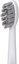 Adler | 2-in-1 Water Flossing Sonic Brush | AD 2180w | Rechargeable | For adults | Number of brush heads included 2 | Number of teeth brushing modes 1 | White