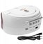 AD 1181 White Copper
