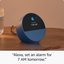 Amazon Echo Spot (2024), must