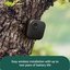 Amazon security camera Blink Outdoor 4 (2 Camera), black