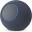 Amazon smart speaker Echo Studio, grey