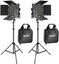 NEEWER 2X660 BI-COLOR LED LIGHT WITH BARNDOOR + 2X 200CM LIGHT STAND 10106570