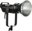 Aputure LS 300X