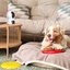Arenti security camera P3TT Indoor WiFi 3MP Dual