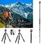 Ball Head Quick Release Plate DSLR Tripod