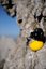 Ballpod 8cm Groen