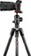 Manfrotto Befree GT Carbon Alpha MKBFRTC4GTA-BH