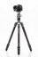 Benro statyw Rhino 24C+VX25