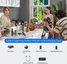 Boya wireless microphone Boyalink 3-01