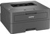 Brother HL-L2400DW Laser Printer