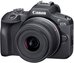 Canon EOS R100 + RF-S 18-45mm F4.5-6.3 IS STM