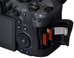 Canon EOS R6 Mark II + RF 24-105mm F4-7.1 IS STM