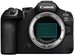 Canon EOS R6 Mark III linnufotograafia komplekt RF 200-800mm objektiiviga