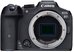 Canon EOS R7 + Mount Adapter EF EOS R