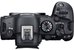 Canon R6 mark II + Canon RF 24-240mm f/4-6.3 IS USM