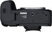 Canon R6 mark II + Canon RF 24-240mm f/4-6.3 IS USM