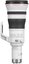 Canon RF 800mm F5.6L IS USM