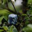Caruba Camouflage Wrap Tape 4 Pack Marine