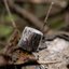 Caruba Camouflage Wrap Tape 4 Pack Riet