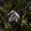 Caruba Camouflage Wrap Tape 4 Pack Woodland