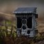 Caruba Wildcamera Raccoon Solar 4K