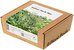 Click & Grow Plant Pod Italian Herb Mix 9pcs