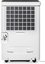 Duux Smart Dehumidifier | Bora | Suitable for rooms up to 40 m&sup2; | Water tank capacity 4 L | White