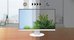 EIZO FlexScan EV2460 white