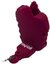 USB2.0 Collector Gryffindor 16GB