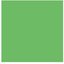 Falcon Eyes Background Paper 73 Summer Green 2,75 x 11 m