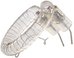 Falcon Eyes Flash Tube RTC-1254-600-S2T for Satel Two