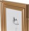 Focus Charleston Gold 70x100 Plexiglass