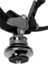 Foto Speed F4 Fox Neoprene Strap