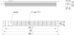 PDU 10xC13 1U 16A C19 2m