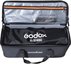 Godox Flexible LED Light FL100 Two light Kit