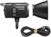 Godox LE300Bi Black Litemons Bi Color LED Video Light