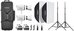 Godox Litemons LA300Bi Bi color LED Video Light 2 light kit
