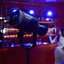 Godox Litemons RGB LED Video Light LA600R (Black)