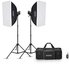 Godox MS300V F Dual Studio Flash Kit