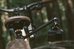 GoPro Boom + Bar Mount