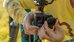 GoPro HB-Series Lens Collection (HERO 13 Black)
