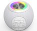 Hama 00188238 Ball Shape Colorful LED Illumination