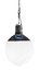 HORNET 200-CX Open Face Omni-Color LED Light