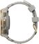Huami Amazfit T-Rex 3 Pro 44mm, grey/gold