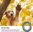 K&F Concept 3pcs Filter Kit, UV+CPL+ND4, HD, Anti-Reflection Green Coating, Waterproof