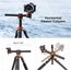 K&F Concept T254A4 tripod with BH-28L ball head