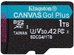 Kingston Memory card microSD 1TB Canvas Go! Plus 200MB/s A2 U3 V30