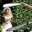 Manfrotto Lastolite reflector Tri Grip 75cm, golden/white (LA-3641)